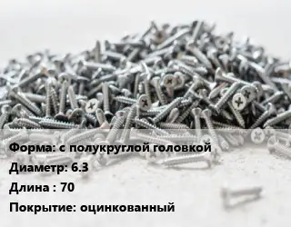 Шуруп с полукруглой головкой 6.3х70 оцинкованный